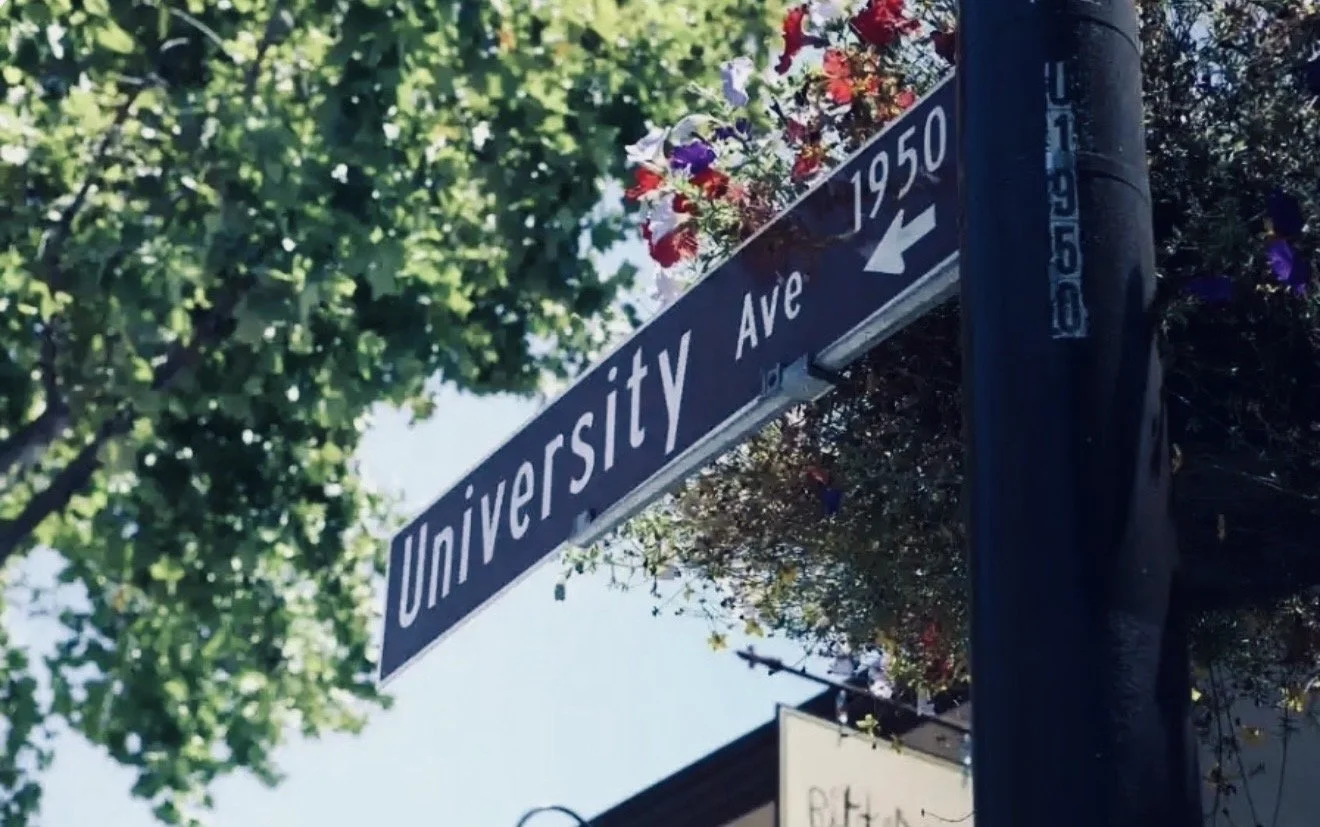Street sign for University Avenue with flowers and trees in the background.