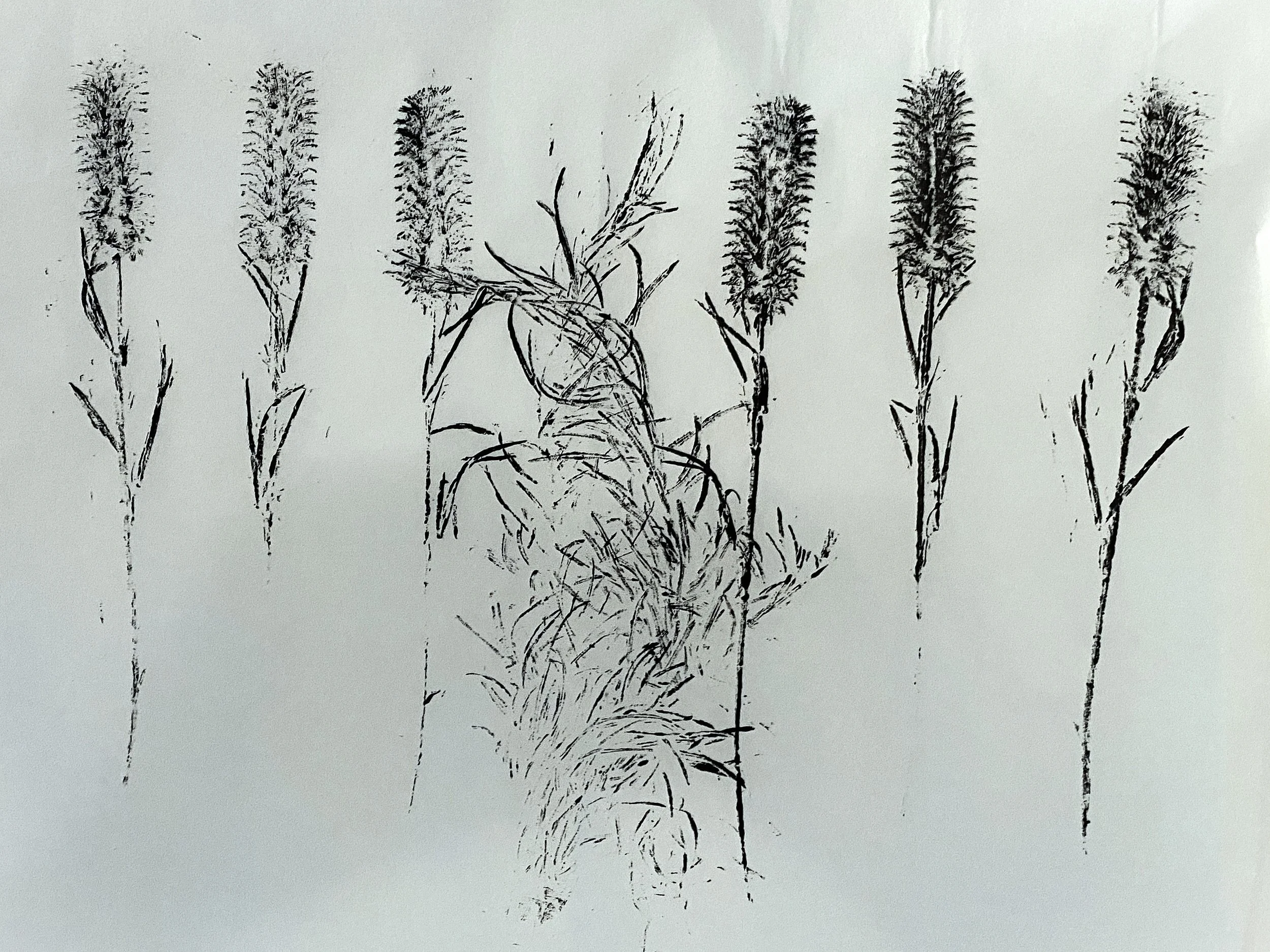 Print of plants