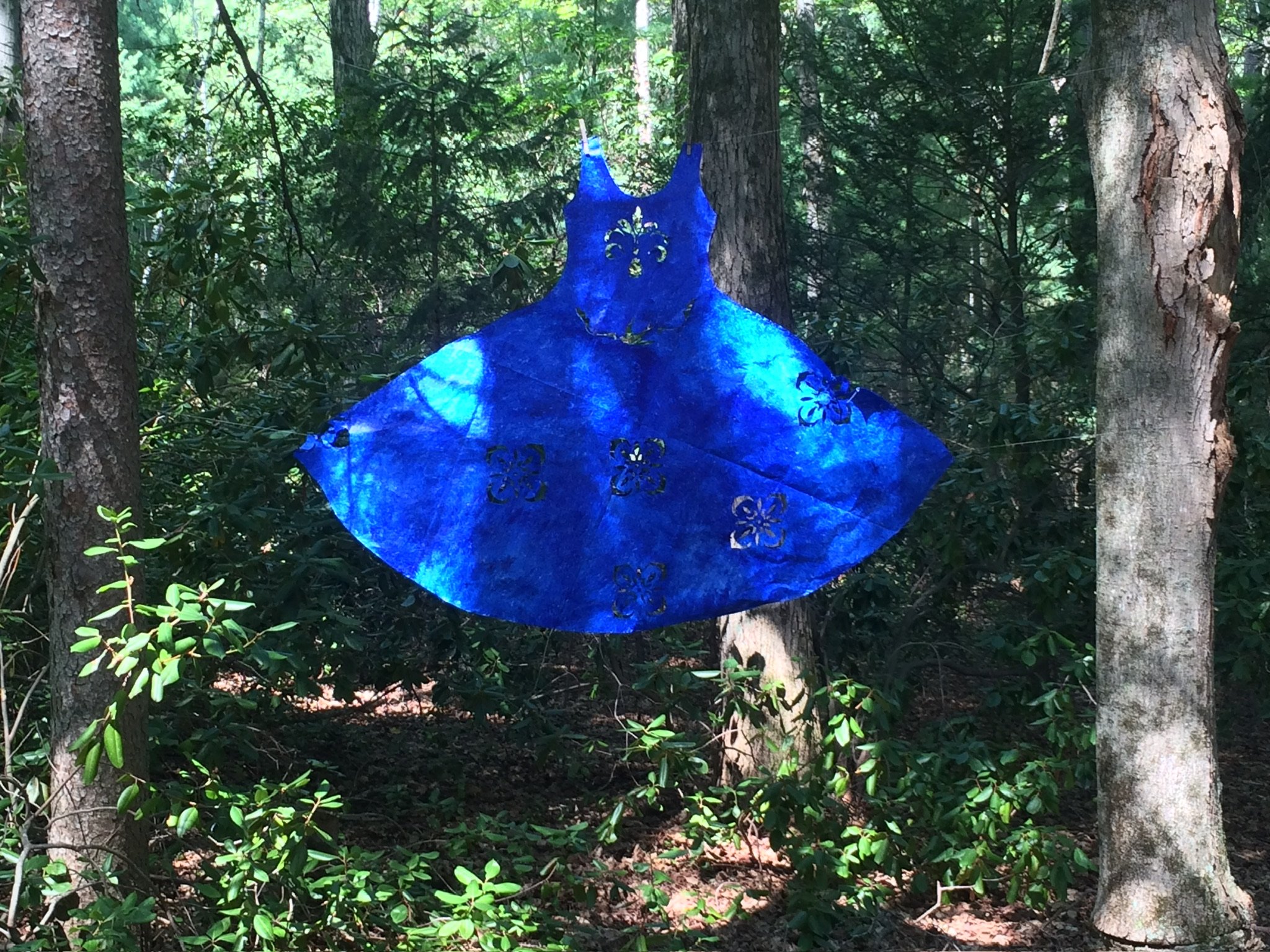  Blue Dress  
In the woods