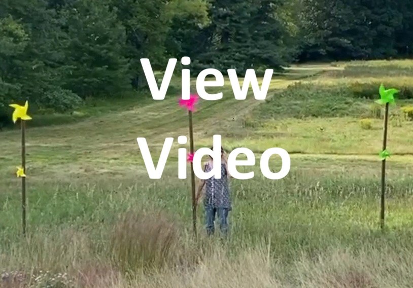  In the Wind  
Wooden poles and pinwheels
