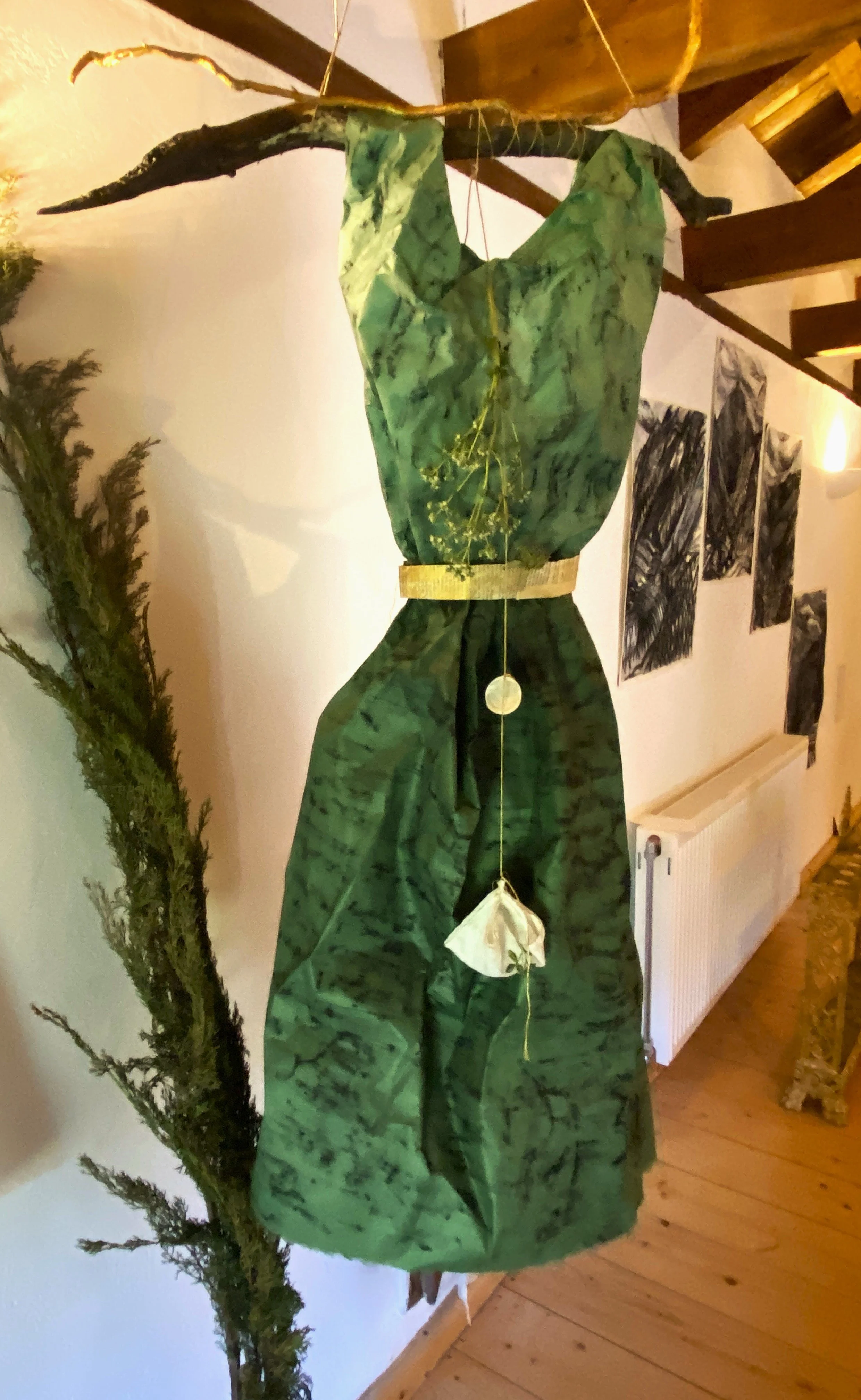 The Healer's Dress