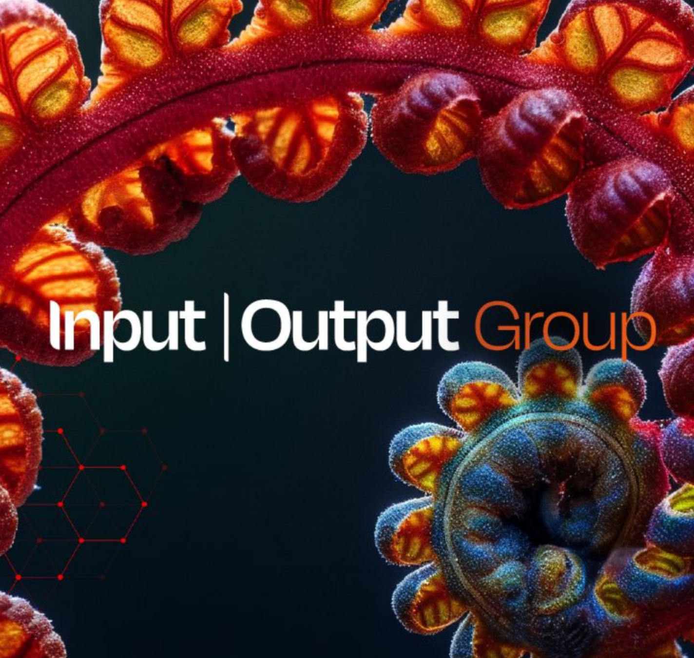 Input Output Global Rebrand