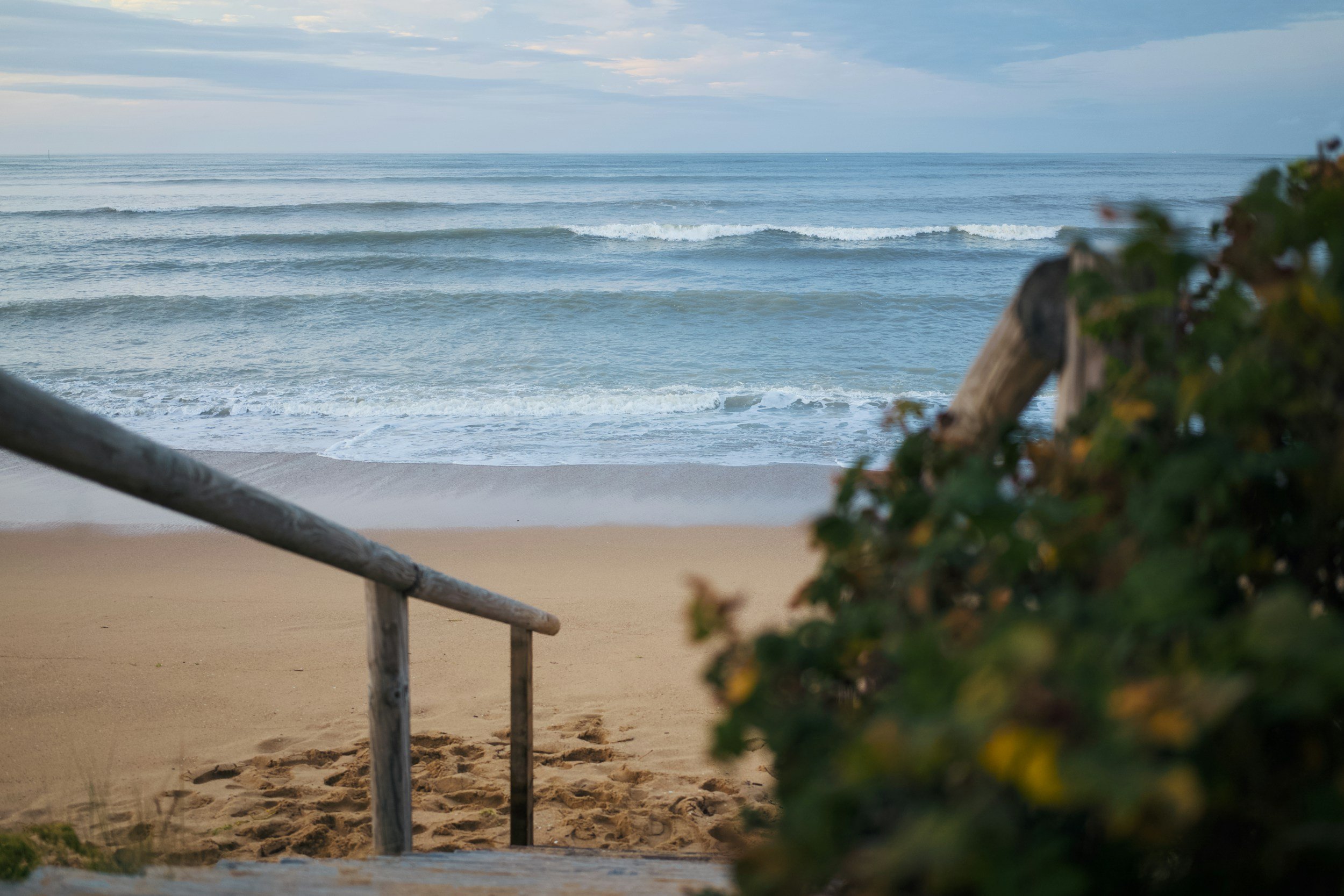 A view of the ocean with gentle waves, seen from the top of sandy steps surrounded by greenery.