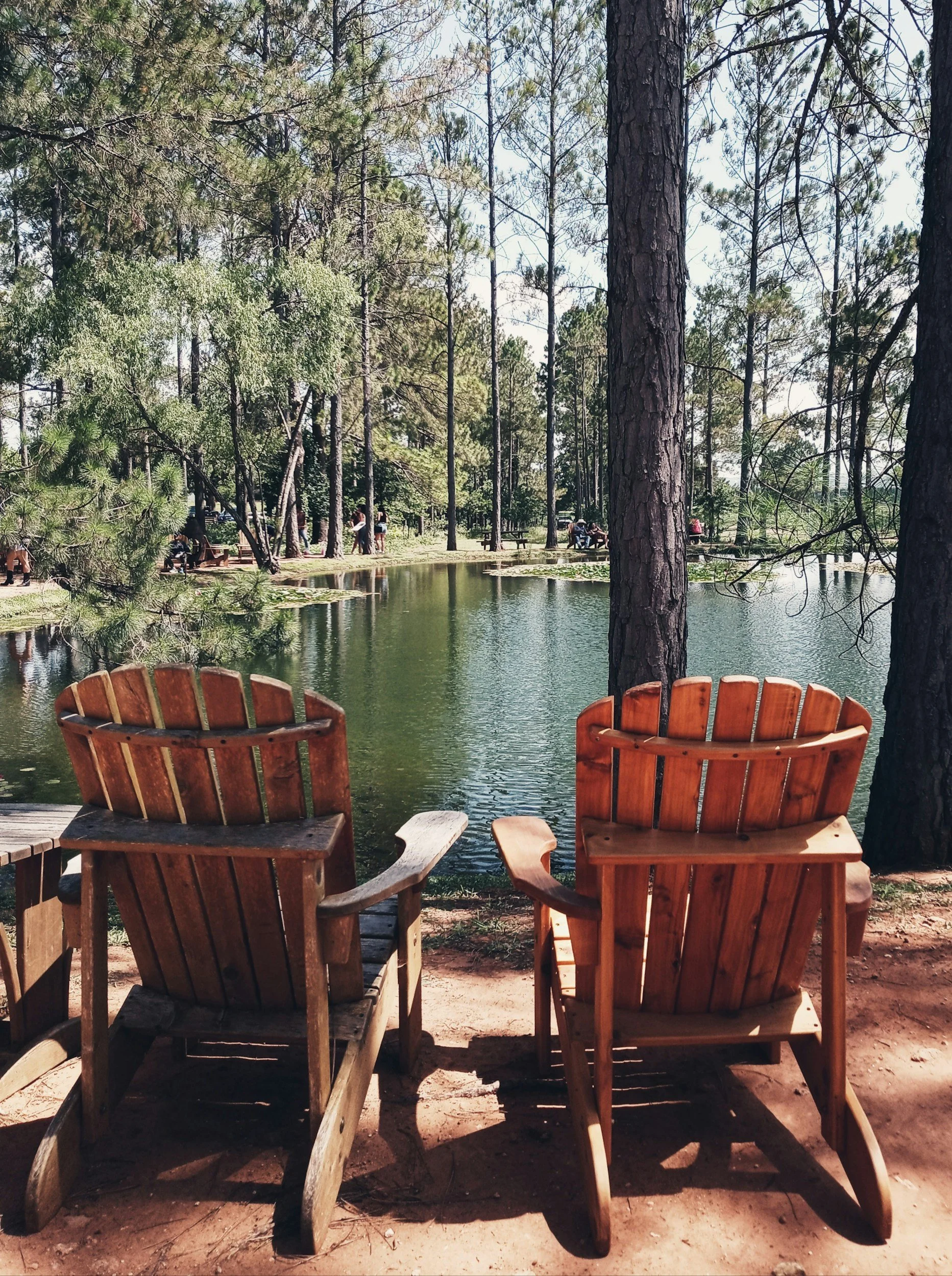 Two wooden Adirondack chairs face a small pond in a forested park, with trees and picnic tables in the background.