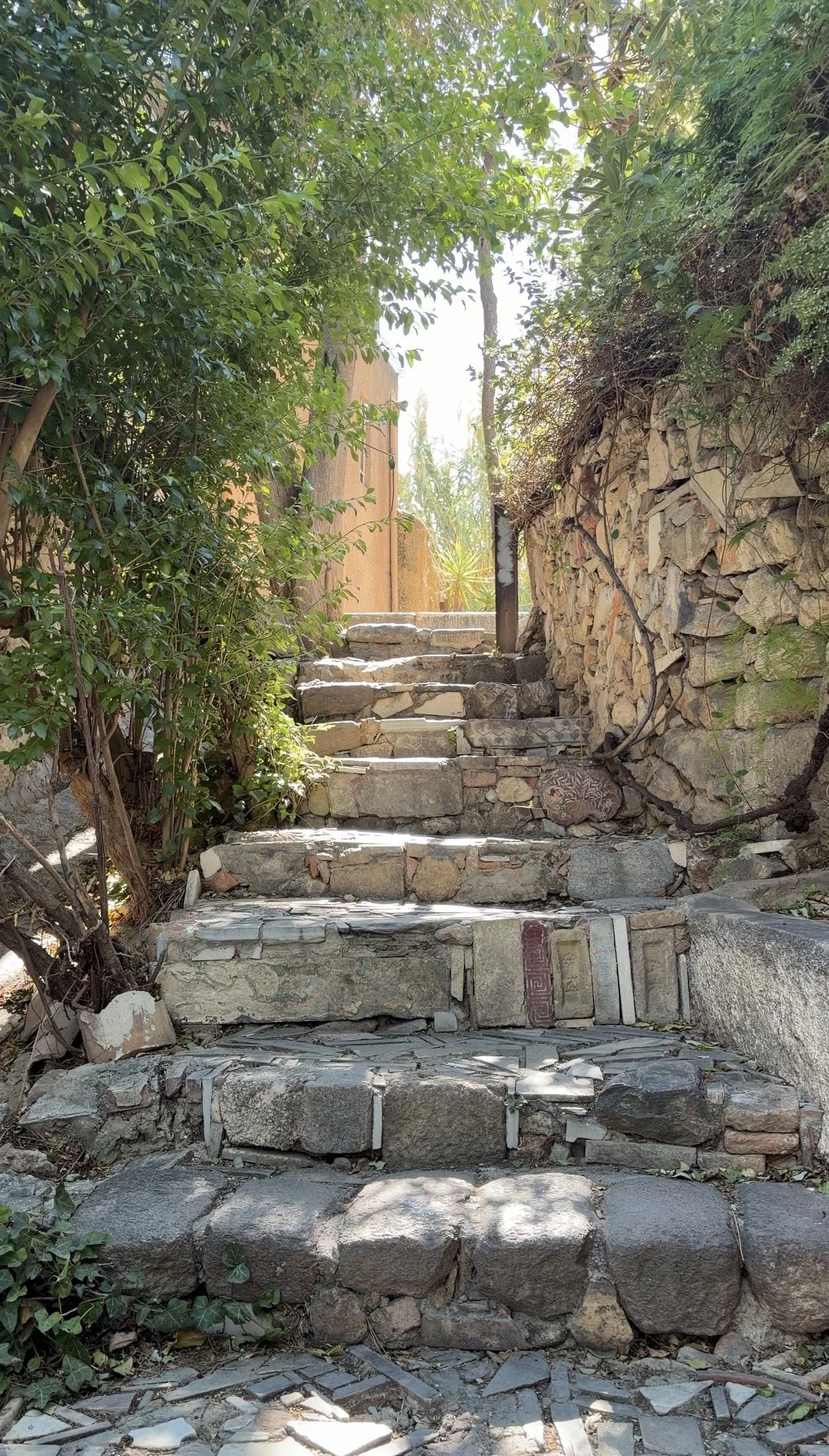 Old stone steps climbing beneath green trees