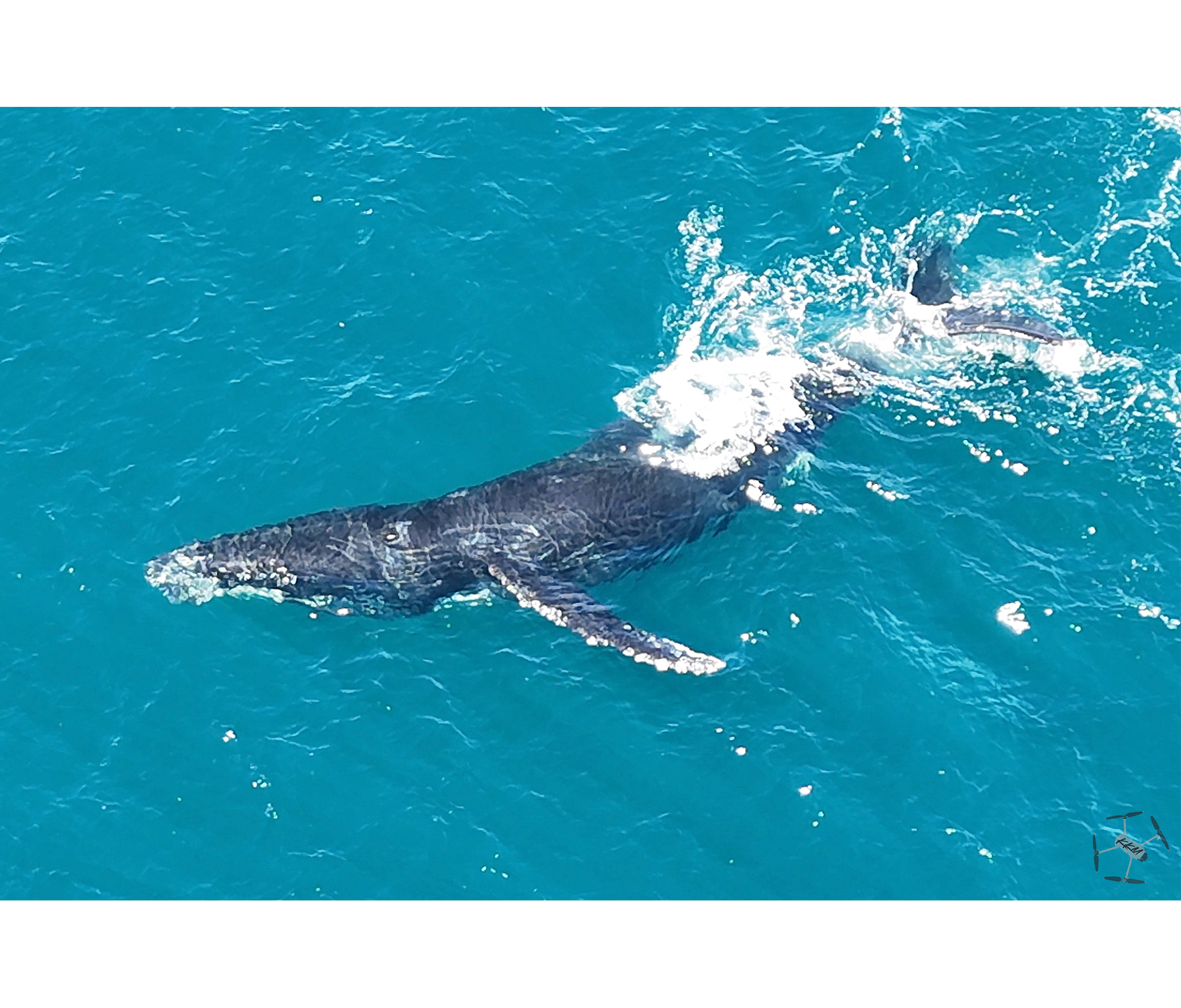 Calm at Surface in the Light.png