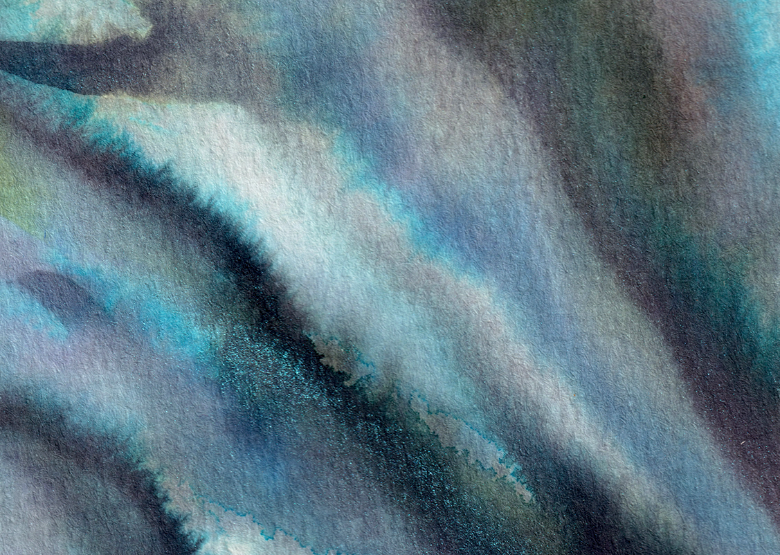 detail : freedom (.05) | F R E E D O M I - series .001 | © 2026 | teodora nicolae