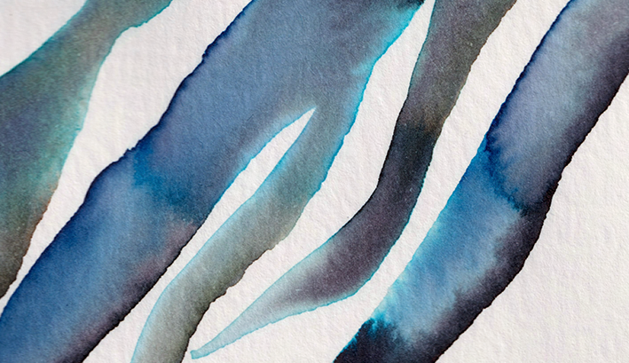 detail : freedom (.02) | F R E E D O M I - series .001 | © 2026 | teodora nicolae