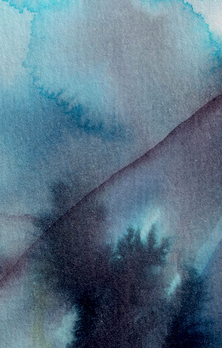 BeABird_01_Glazed_detail 3.png