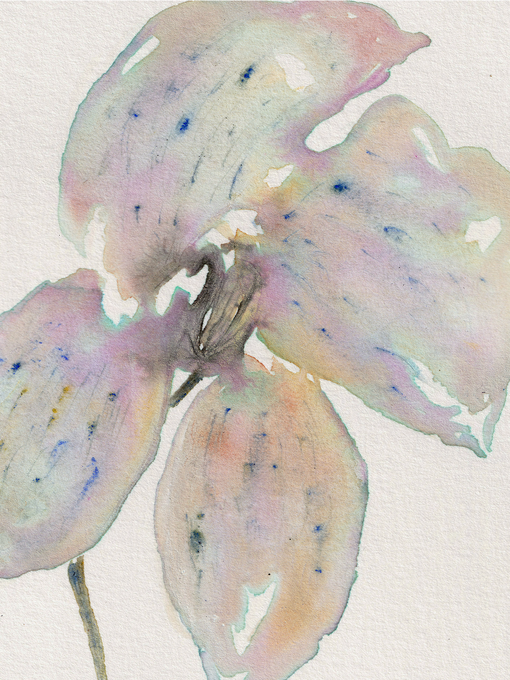 even what's dying is beautiful | a creative study by Teodora Nicolae | "creative studies" | The Laboratory | teodoranicolae.com | © 2026 all rights reserved | words + images + artwork by Teodora Nicolae