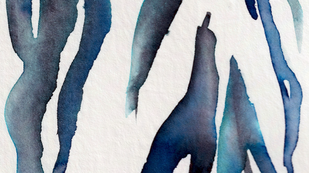 detail : freedom (.06) | FREEDOM I - series .001 | © 2026 teodora nicolae