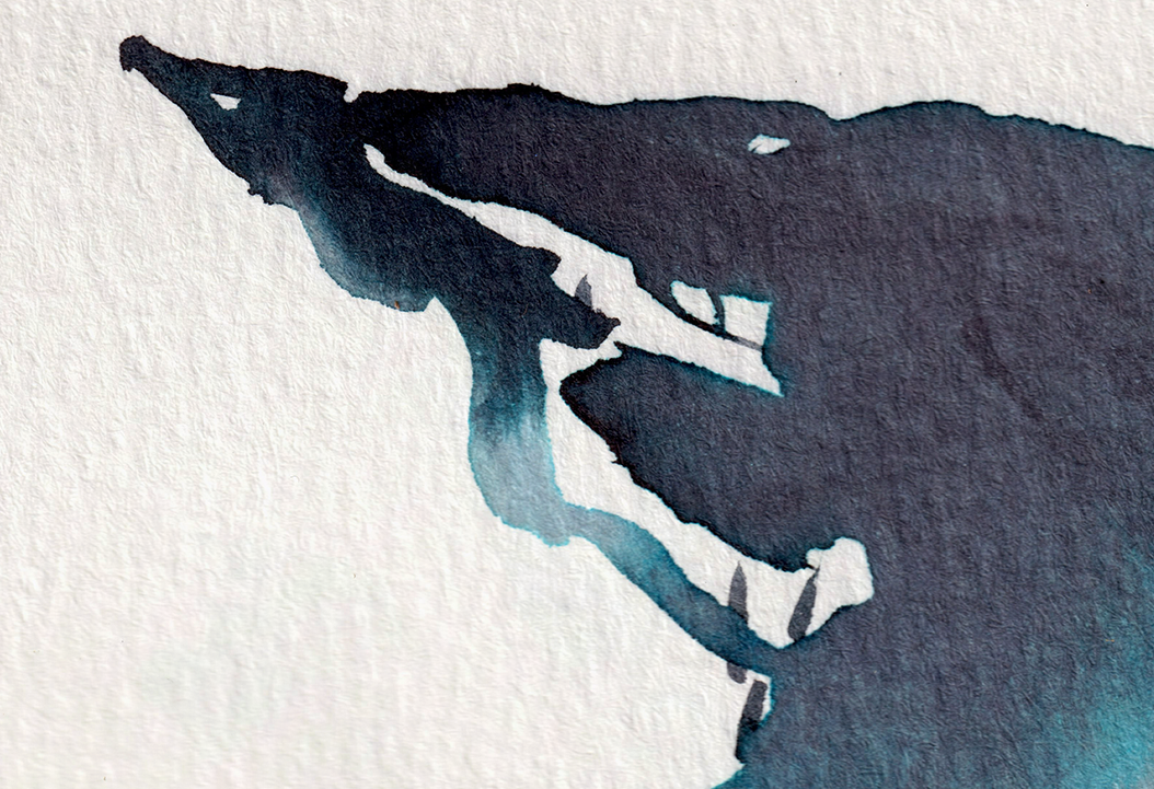 detail : freedom (.08) | FREEDOM I - series .001 | © 2026 teodora nicolae