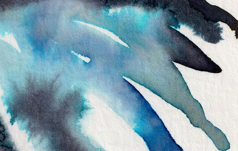 detail : freedom (.07) | FREEDOM I - series .001 | © 2026 teodora nicolae