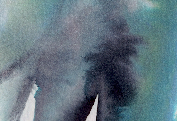 detail : freedom (.03) | F R E E D O M I - series .001 | © 2026 | teodora nicolae