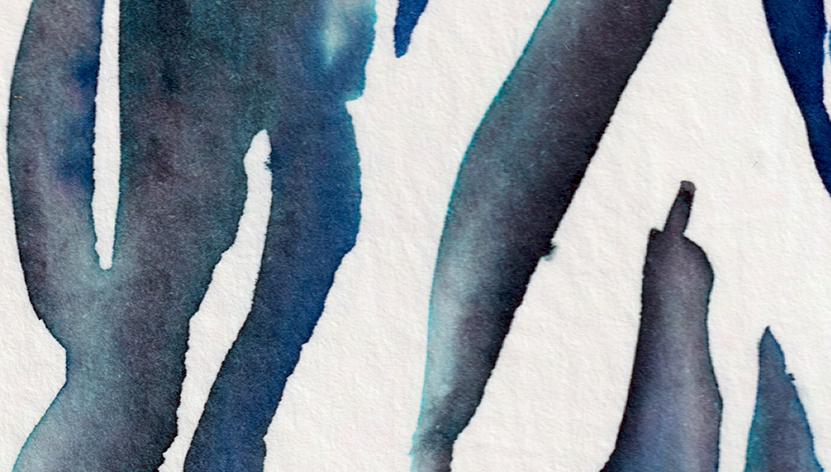 detail : freedom (.06) | FREEDOM I - series .001 | © 2026 teodora nicolae