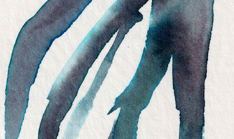 detail : freedom (.06) | FREEDOM I - series .001 | © 2026 teodora nicolae