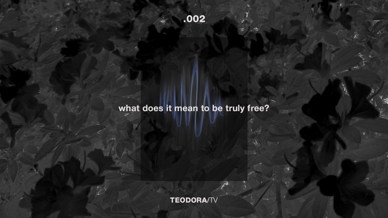T_FM - 002 - Horiz.png