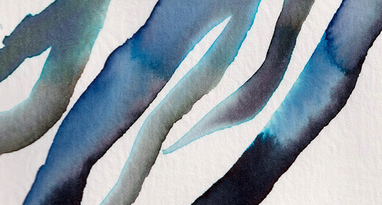 detail : freedom (.02) | F R E E D O M I - series .001 | © 2026 | teodora nicolae