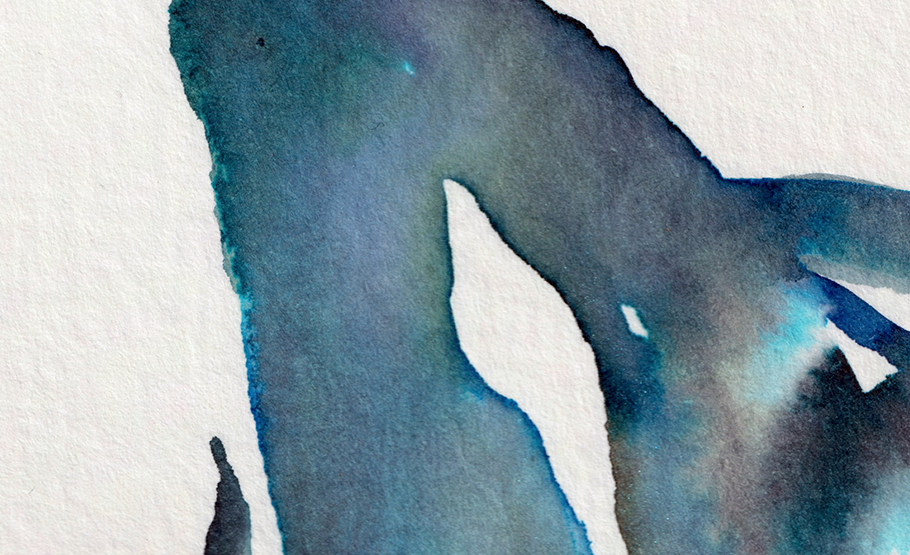 detail : freedom (.07) | FREEDOM I - series .001 | © 2026 teodora nicolae