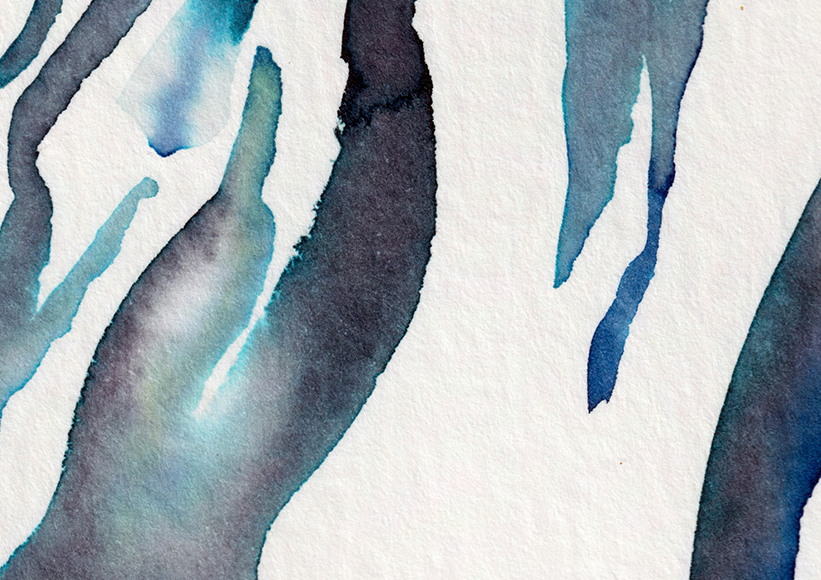 detail : freedom (.06) | FREEDOM I - series .001 | © 2026 teodora nicolae