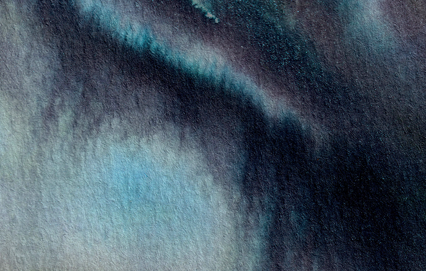 detail : freedom (.05) | F R E E D O M I - series .001 | © 2026 | teodora nicolae