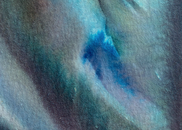 detail : freedom (.05) | F R E E D O M I - series .001 | © 2026 | teodora nicolae