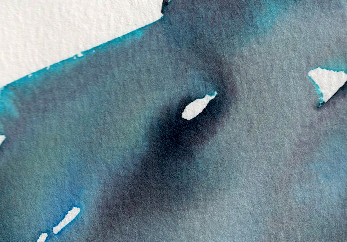 detail : freedom (.08) | FREEDOM I - series .001 | © 2026 teodora nicolae