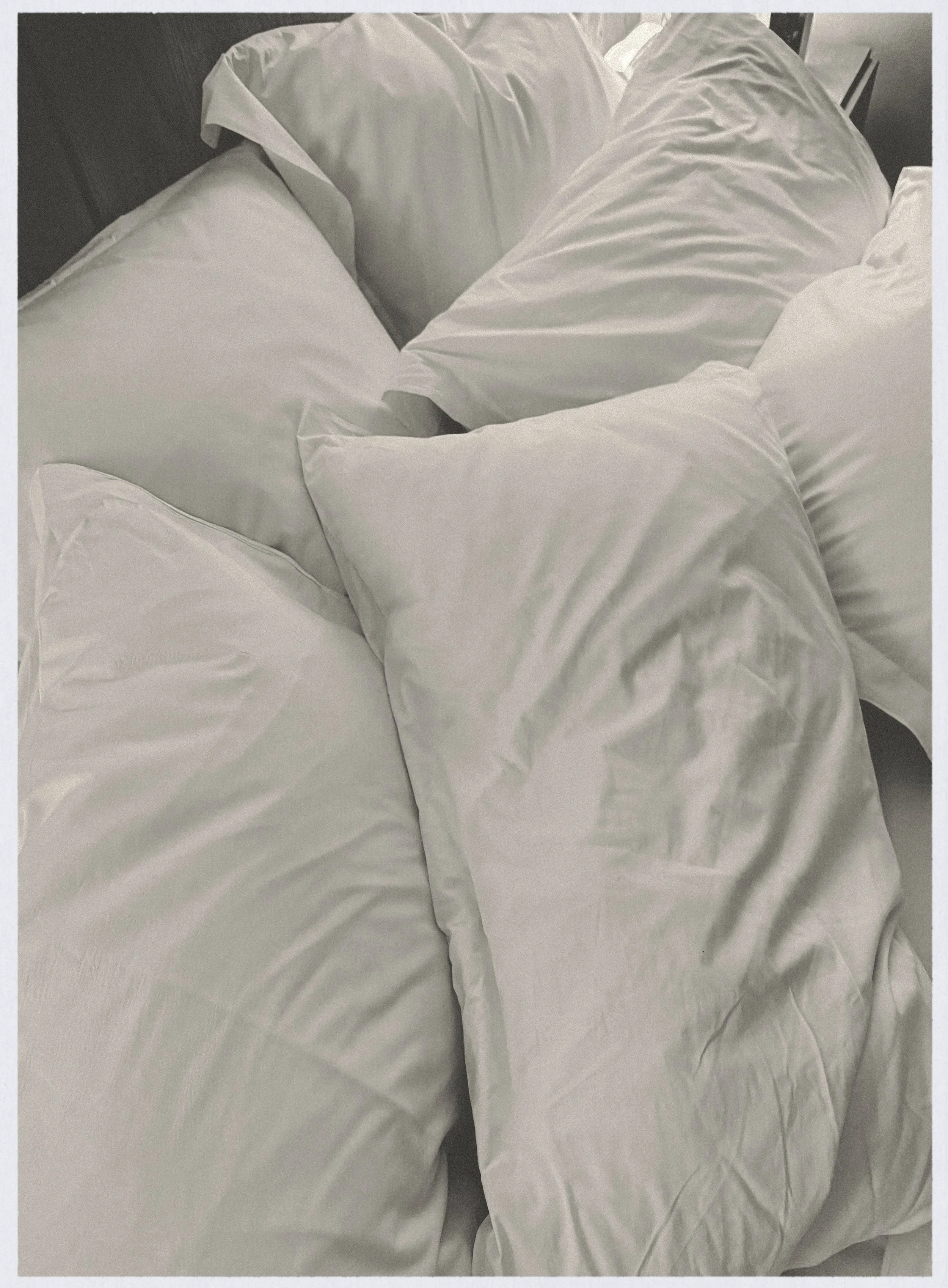 "luxury" | from FRAGMENTS : an on-going photo series by Teodora Nicolae | The Gallery | © 2026 | all rights reserved