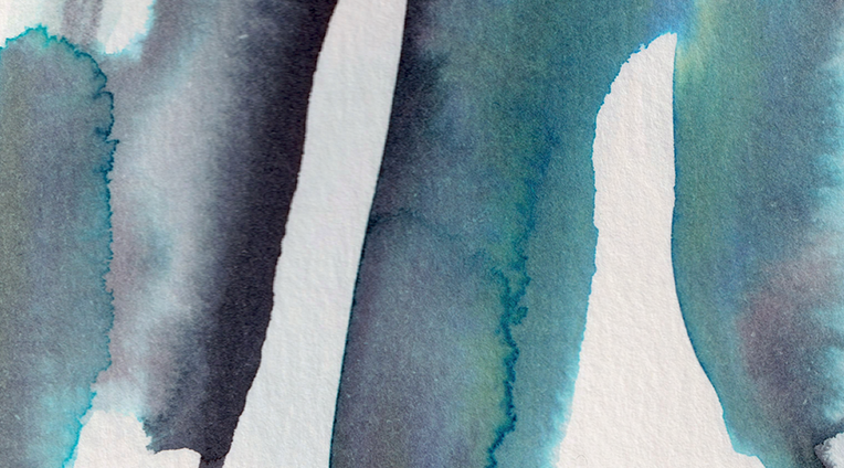 detail : freedom (.03) | F R E E D O M I - series .001 | © 2026 | teodora nicolae