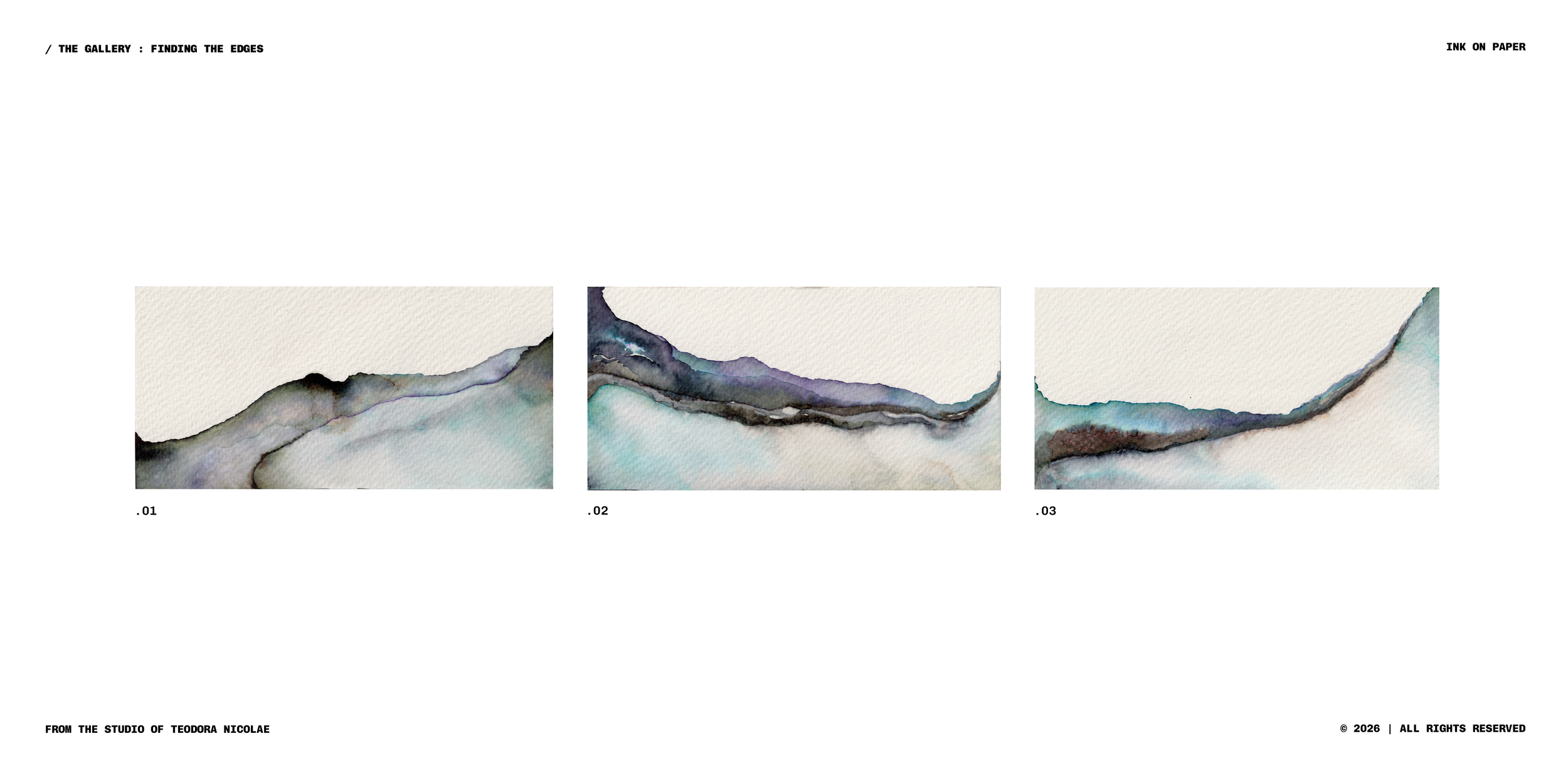Finding the Edges : a fine art series by Teodora Nicolae | ink on paper | The Gallery | teodoranicolae.com | © 2026 all rights reserved