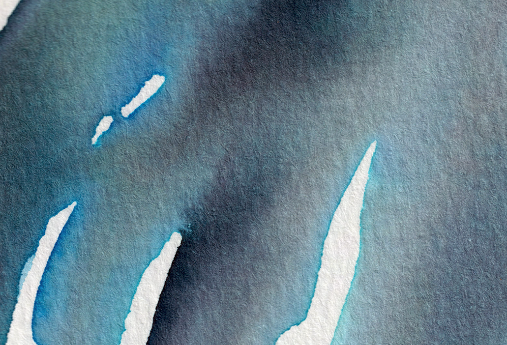detail : freedom (.08) | FREEDOM I - series .001 | © 2026 teodora nicolae