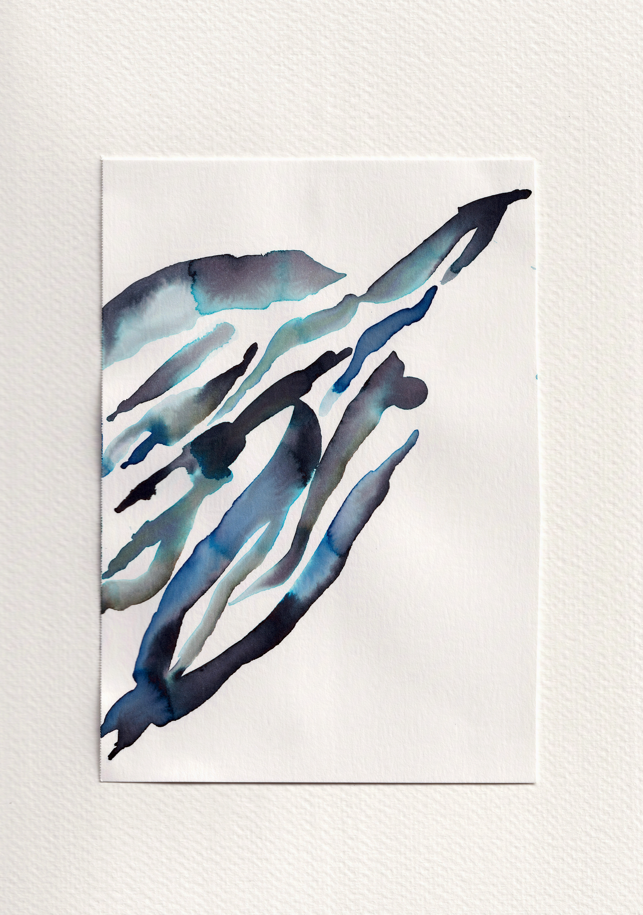 freedom (.02) | FREEDOM I - series .001 | © 2026 | teodora nicolae