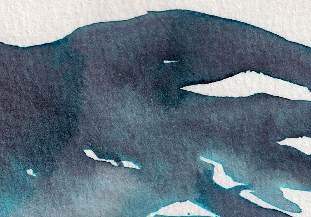 detail : freedom (.08) | FREEDOM I - series .001 | © 2026 teodora nicolae