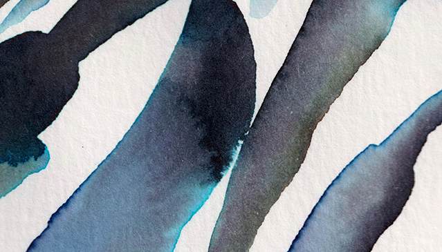 detail : freedom (.02) | F R E E D O M I - series .001 | © 2026 | teodora nicolae