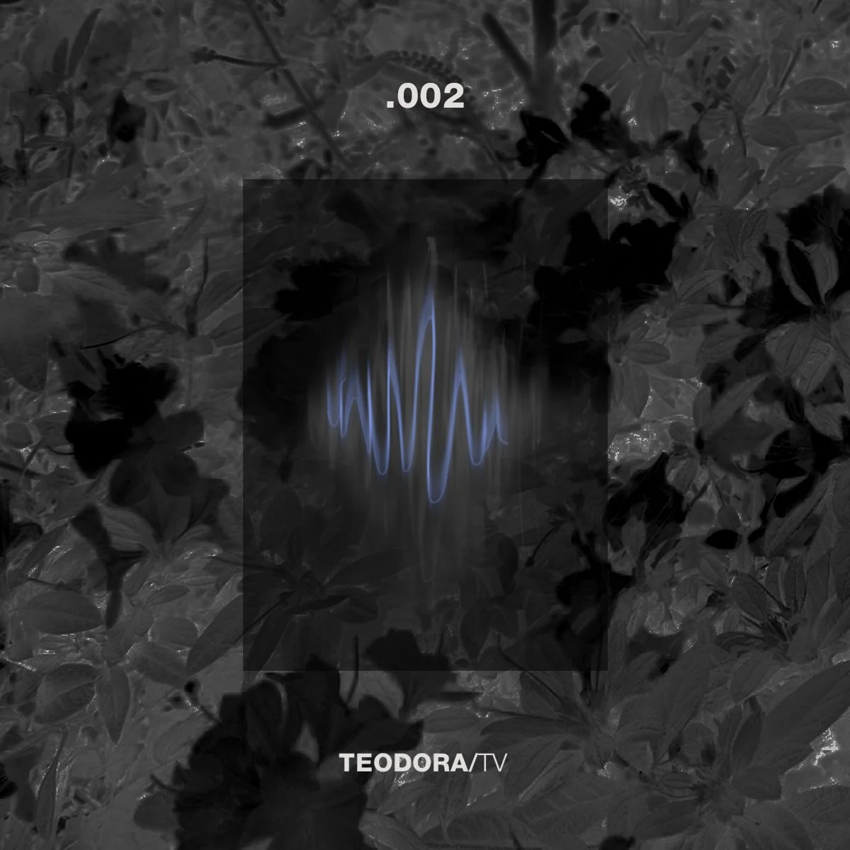 TEODORA/TV - Episode .003 - What Does it Mean to be Truly Free? | by Teodora Nicolae