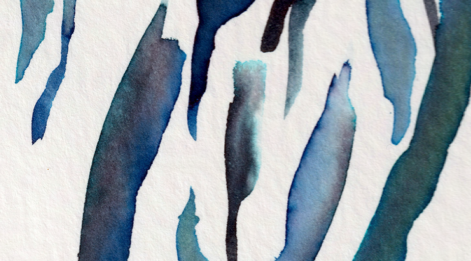 detail : freedom (.06) | FREEDOM I - series .001 | © 2026 teodora nicolae