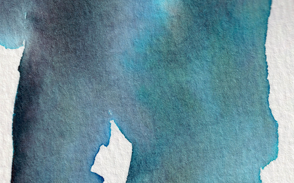 detail : freedom (.08) | FREEDOM I - series .001 | © 2026 teodora nicolae