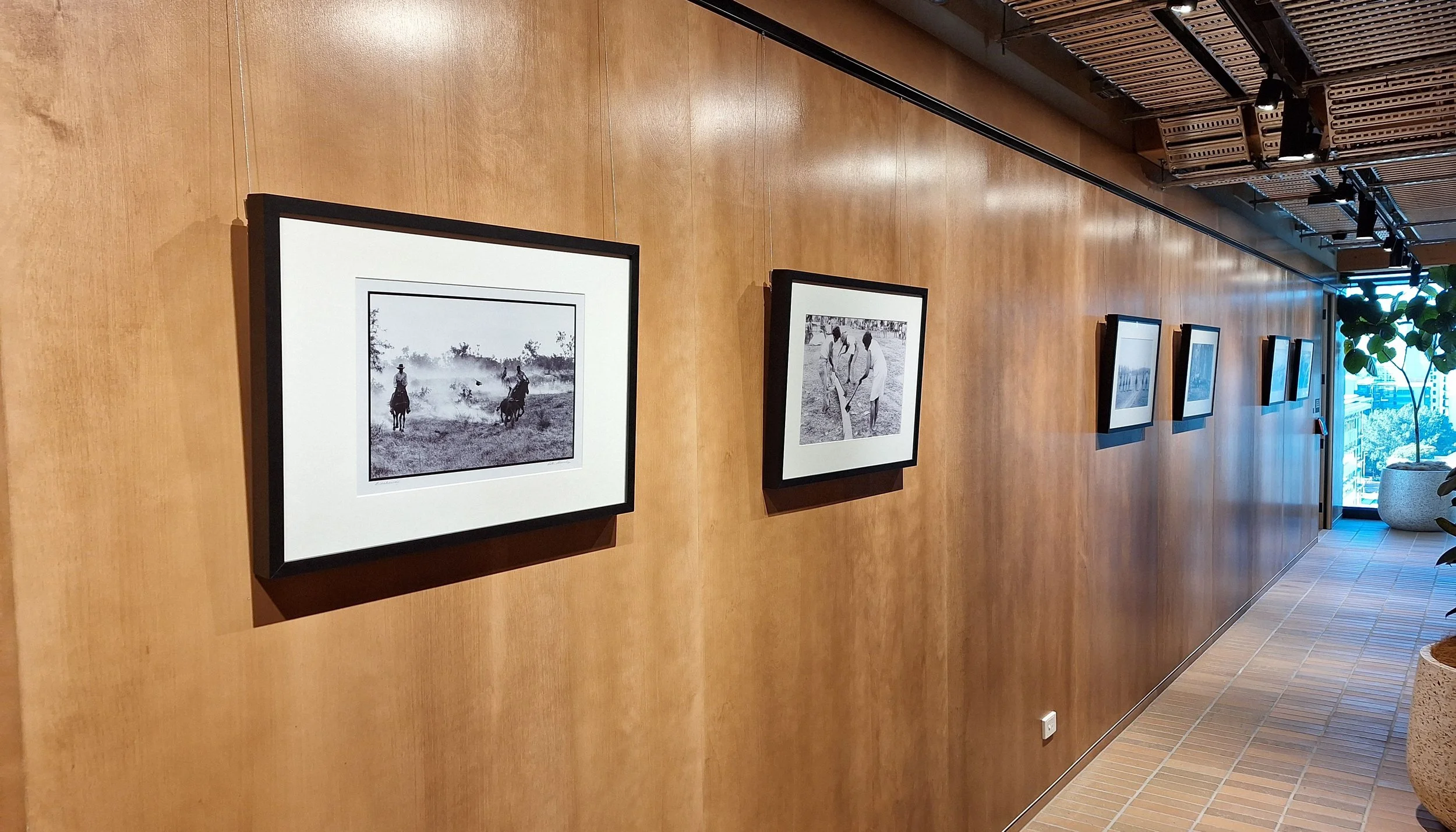 Printed photos with gallery style black frame. Installed with black anodised gallery system.