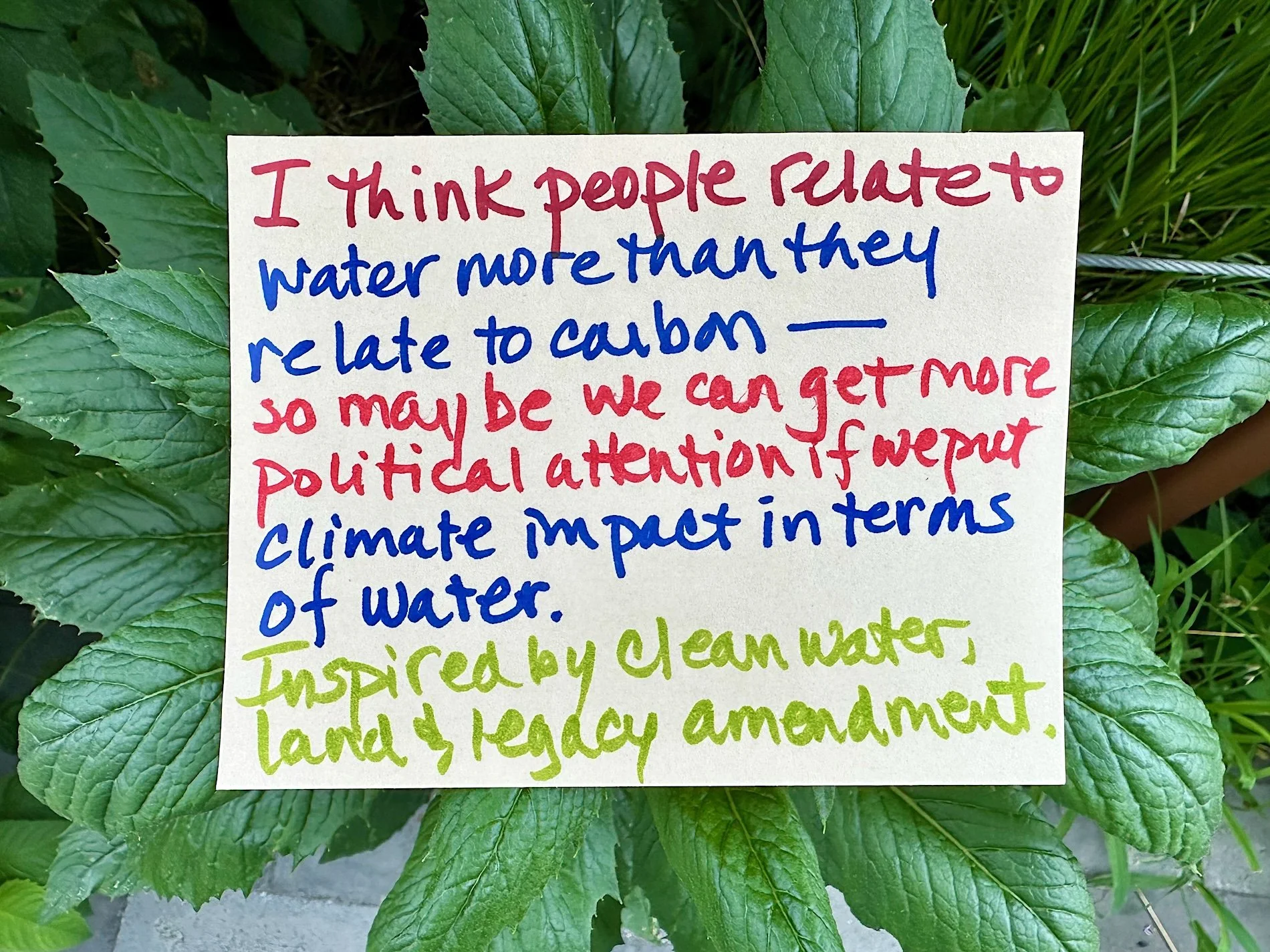Climate dreams (May 2026_44).jpeg