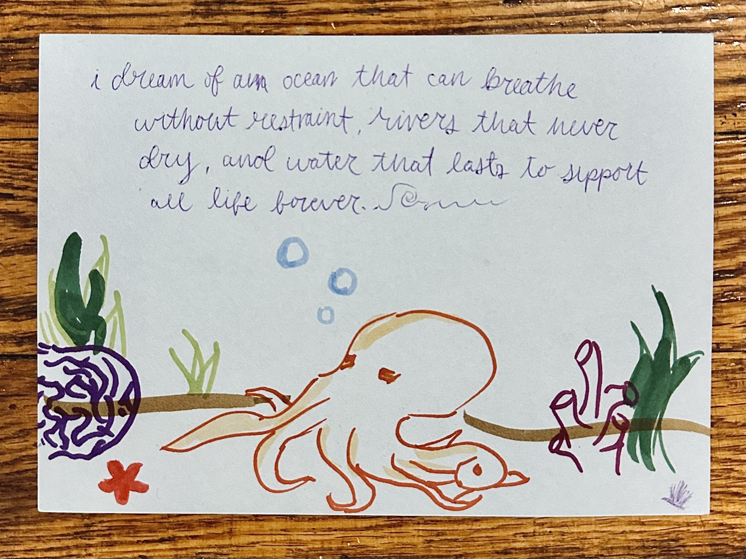 Climate dreams (May 2026_2).jpg