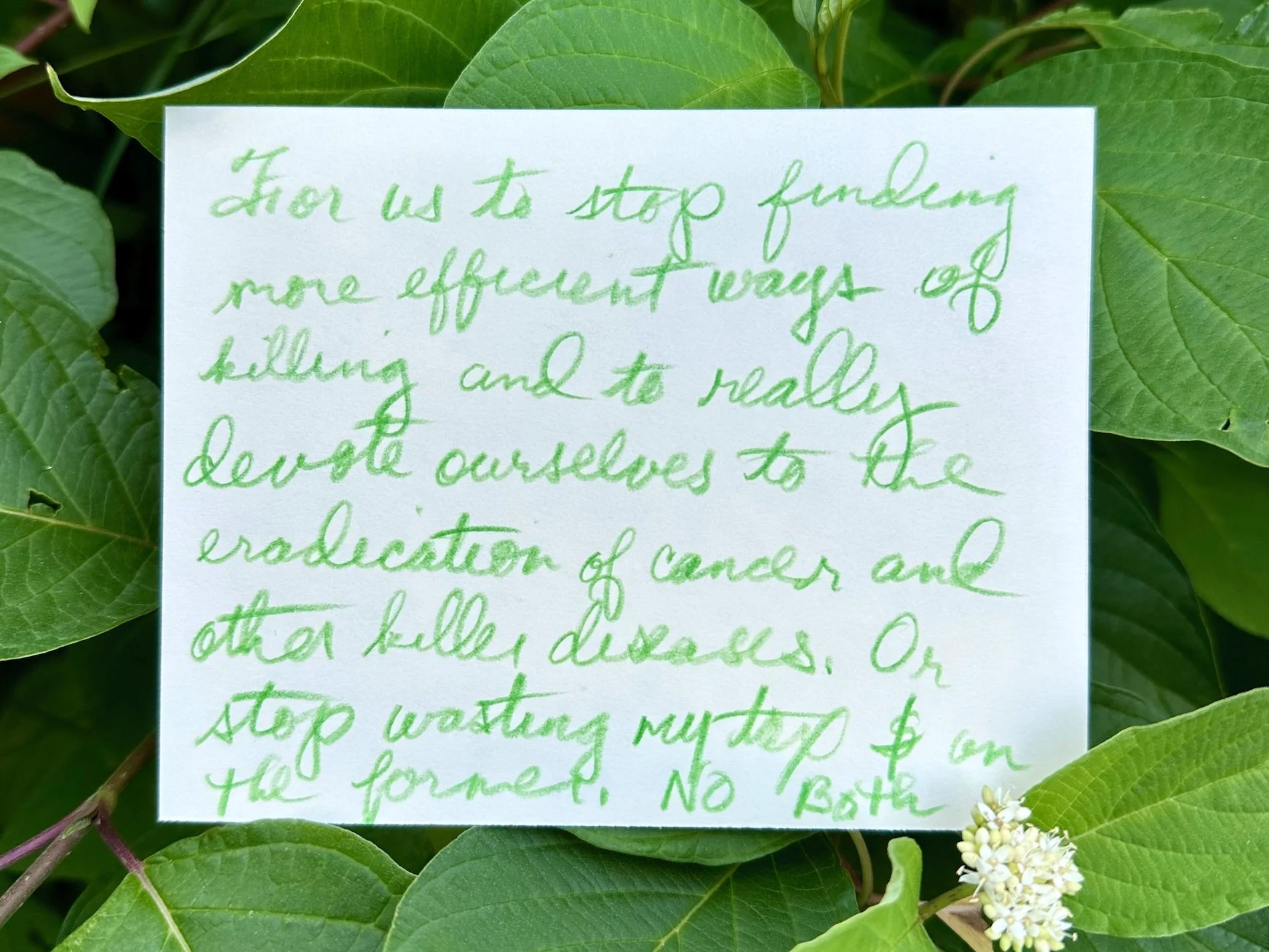 Climate dreams (May 2026_37).jpeg