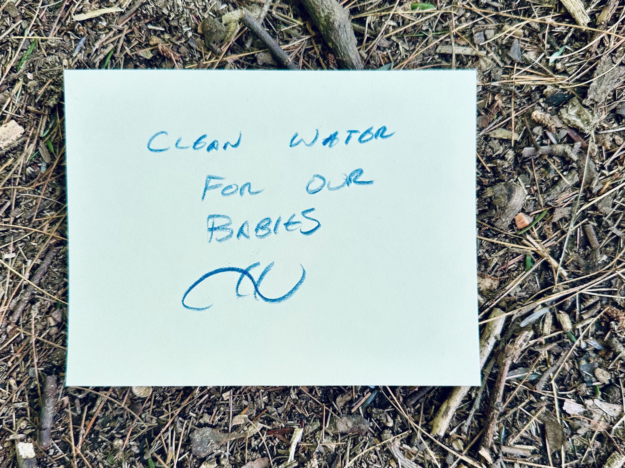 Climate dreams (May 2026_19).jpg