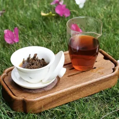 Build Immunity with Yummy Rasa Tea