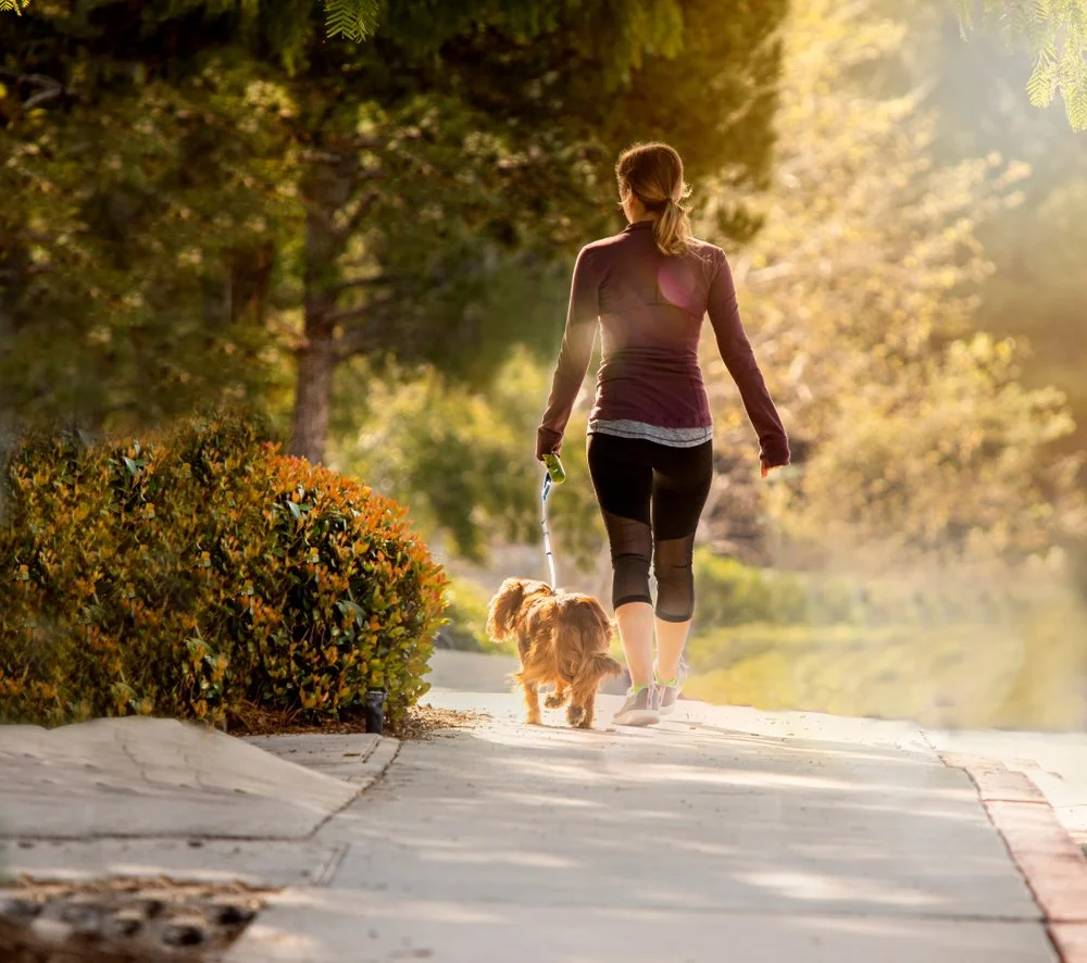 Take simple steps to prevent pitta from blazing outta control