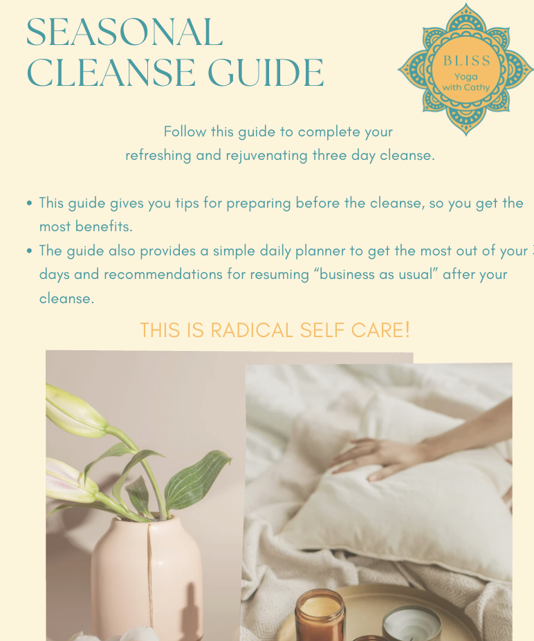 DIY 3-Day Seasonal Ayuredic Mini Cleanse - beginner friendly