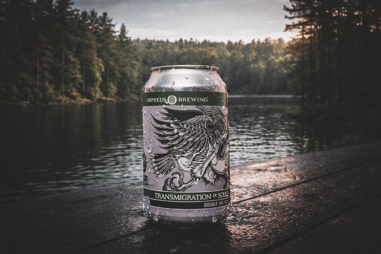 BEER TRANSMFINAL.png