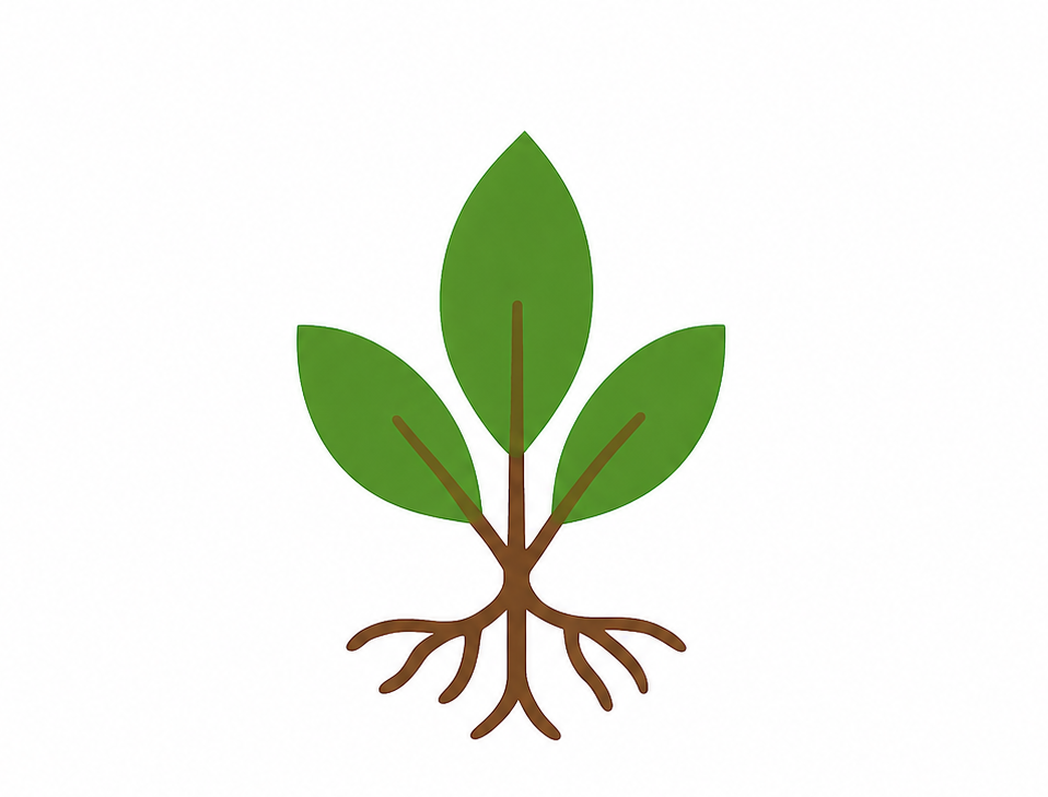 Garden Produce & Pantry Item Collection