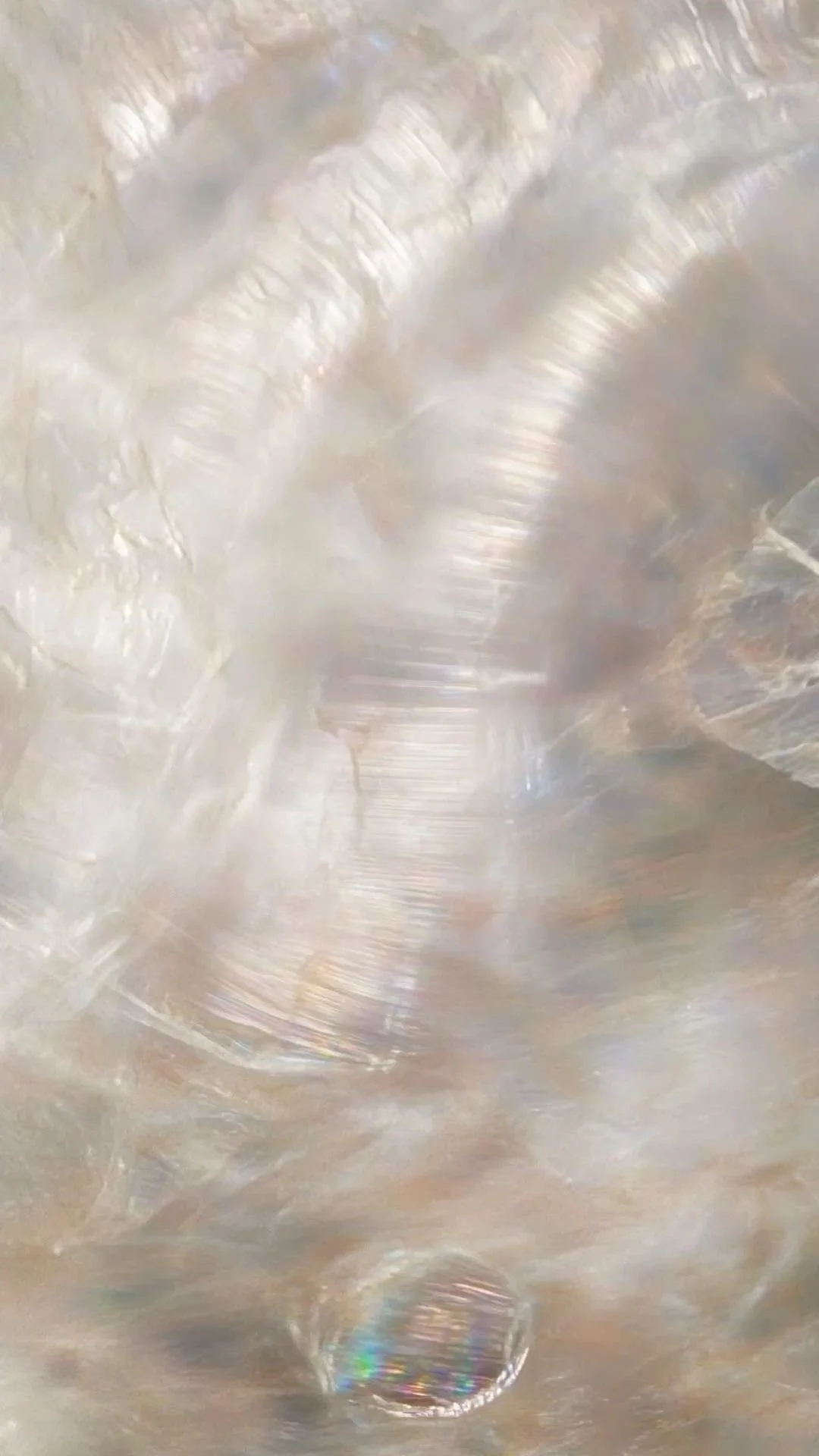 Close-up of a pearl inside a seashell, showcasing iridescent colors and textured surface.
