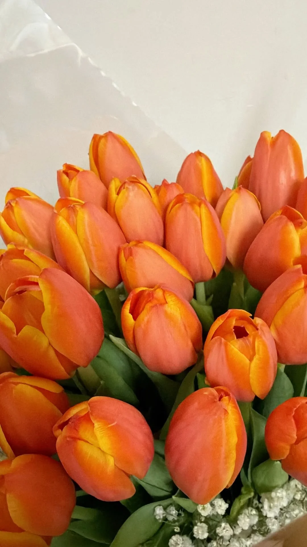 Close-up of a bouquet of orange tulips with green leaves and small white flowers at the base.