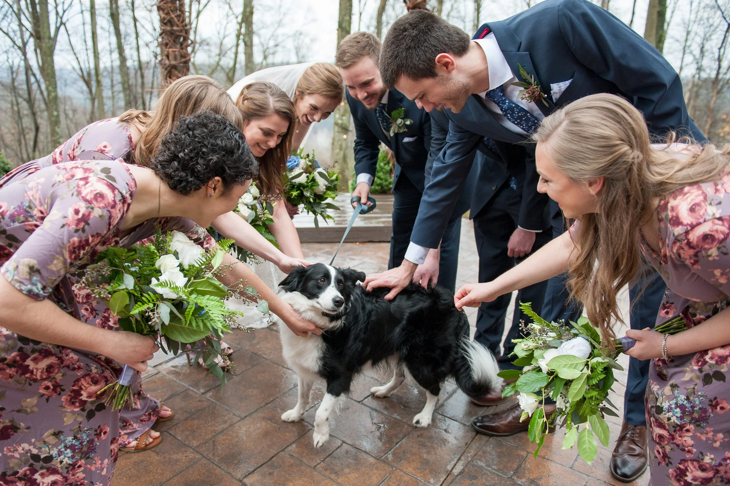 Group of people petting a black and white Border Collie dog during a wedding celebration outdoors, with floral arrangements and greenery.